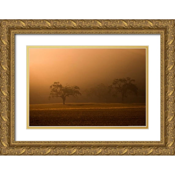 Linden, Sally 24x17 Gold Ornate Wood Framed with Double Matting Museum Art Print Titled - Sun Rising