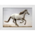 thumbnail image 1 of Linden, Sally 24x17 White Modern Wood Framed Museum Art Print Titled - Against The Wind, 1 of 4