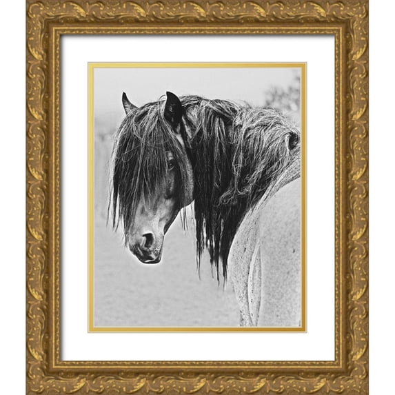 Linden, Sally 26x32 Gold Ornate Wood Framed with Double Matting Museum Art Print Titled - Freedom