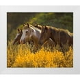 thumbnail image 1 of Linden, Sally 30x26 White Modern Wood Framed Museum Art Print Titled - Horses In Gold, 1 of 4