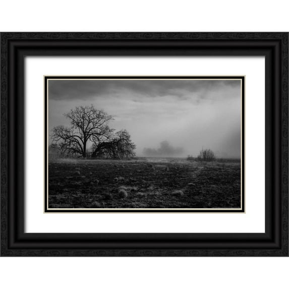 Linden, Sally 32x23 Black Ornate Wood Framed with Double Matting Museum Art Print Titled - Shaded Trees