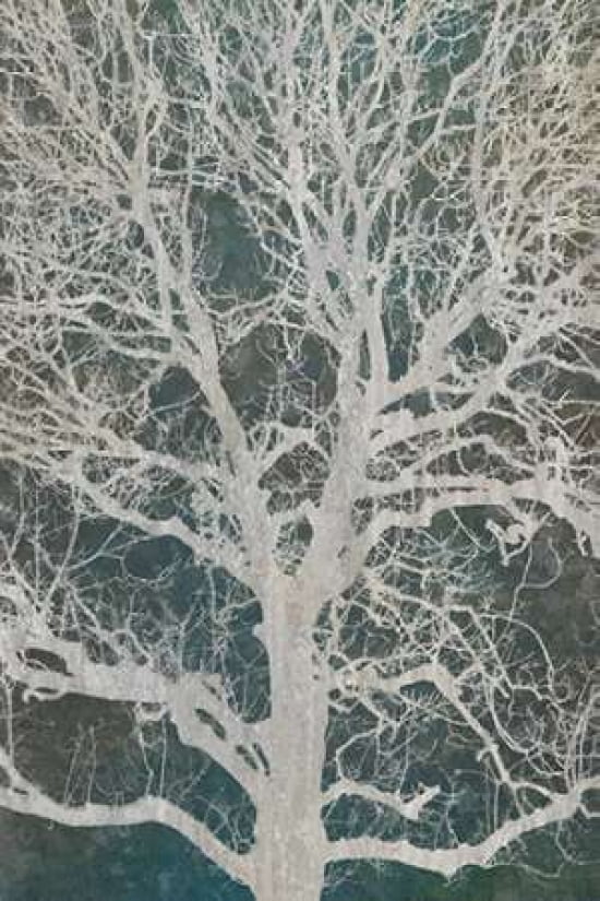 Linden Tree Canvas Art - Cora Niele (12 x 18)
