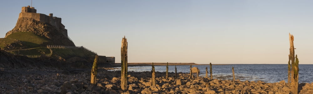 Lindisfarne Castle Holy Island Northumberland England Canvas Art - John Short Design Pics (39 x 11)
