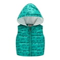thumbnail image 1 of Lindreshi Baby Boy Clothes Clearance Toddler Kids Baby Girls Boys Sleeveless Car Print Hooded Warm Waistcoat Tops, 1 of 3
