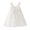thumbnail image 1 of Lindreshi Baby Girl Clothes Toddler Kids Baby Girls Cute Summer Mesh Elegant Flower Wing Suspenders Dress Skirt, 1 of 5