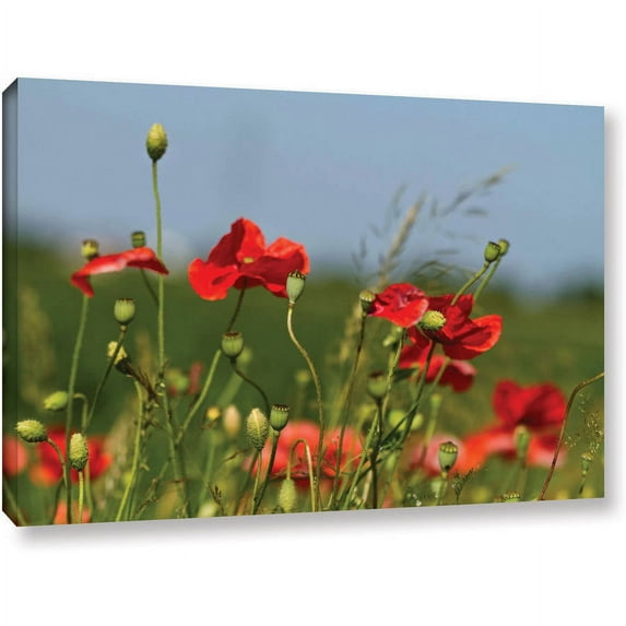 Lindsey Janich "3097A" Gallery-Wrapped Canvas