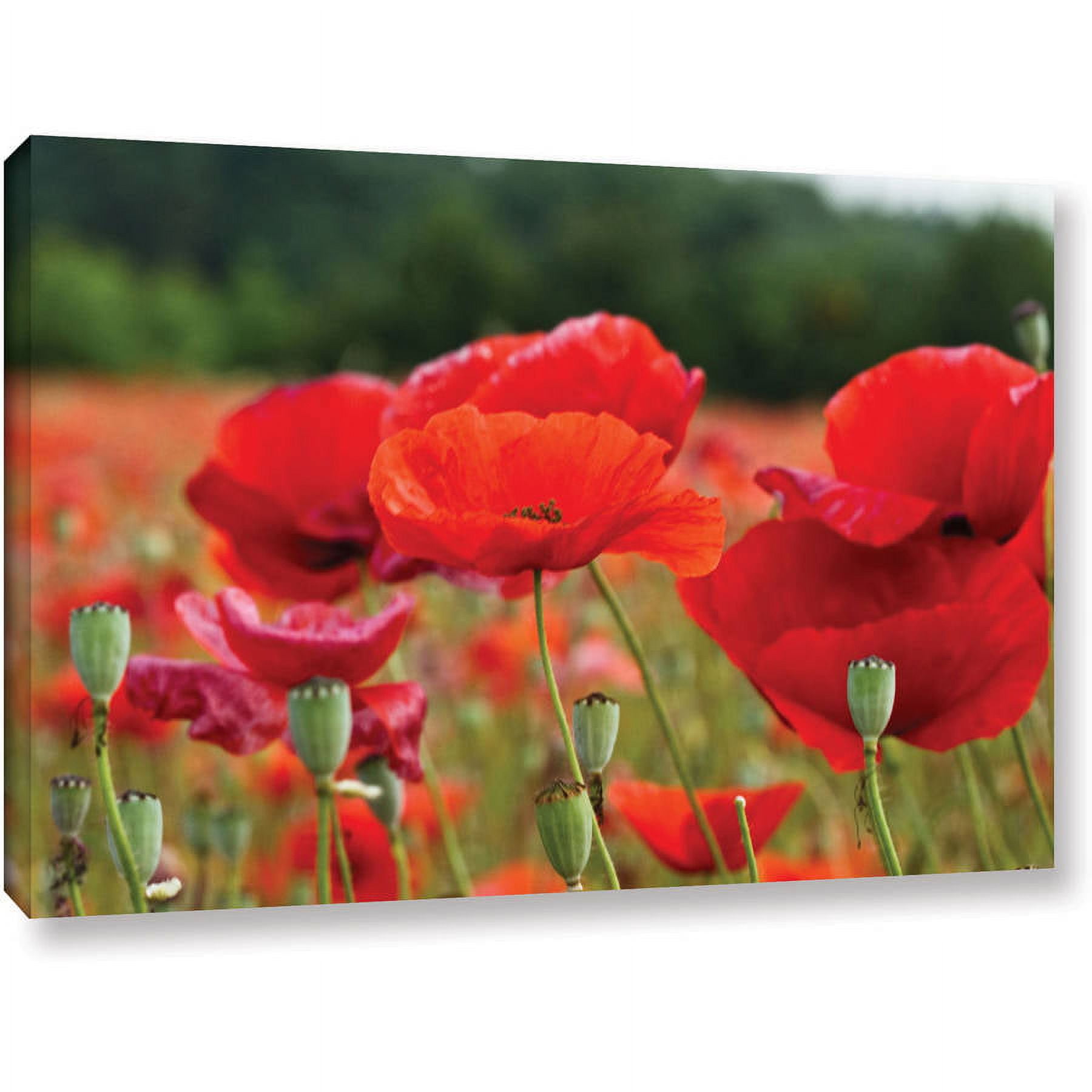 Lindsey Janich "3986" Gallery-Wrapped Canvas