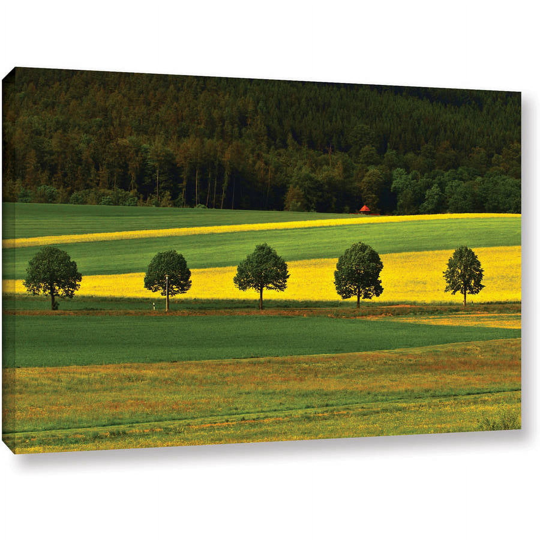 Lindsey Janich "5026Aaa1" Gallery-Wrapped Canvas