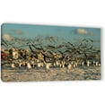 thumbnail image 1 of Lindsey Janich "Crazy Birds, Siesta Key" Gallery-Wrapped Canvas, 1 of 1