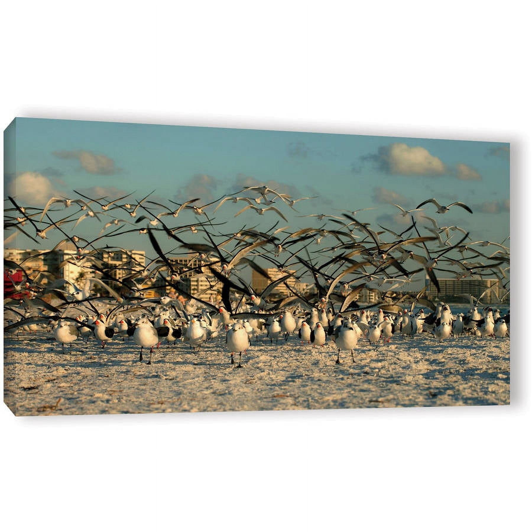 Lindsey Janich "Crazy Birds, Siesta Key" Gallery-Wrapped Canvas