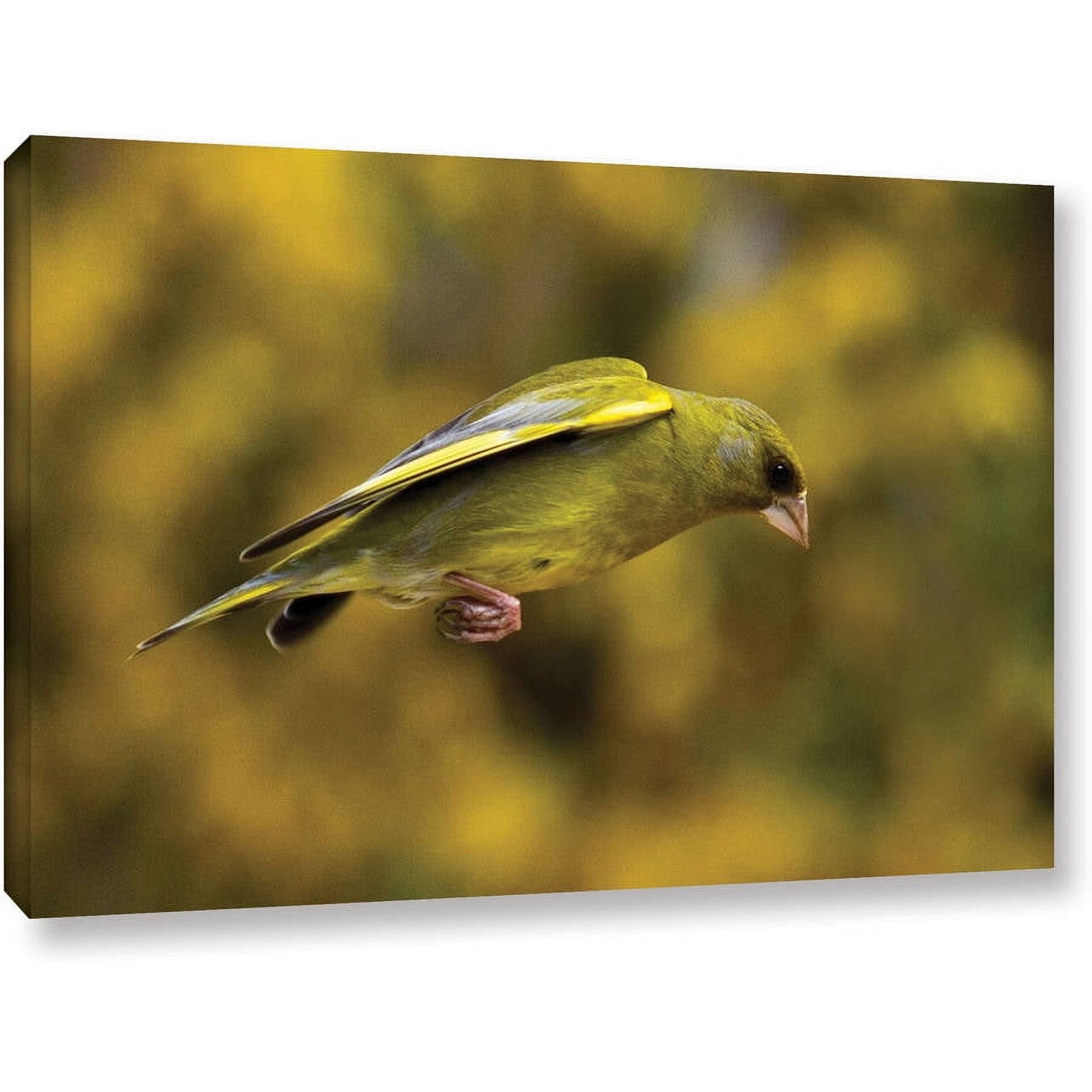 Lindsey Janich "Finch Leaping A1" Gallery-Wrapped Canvas