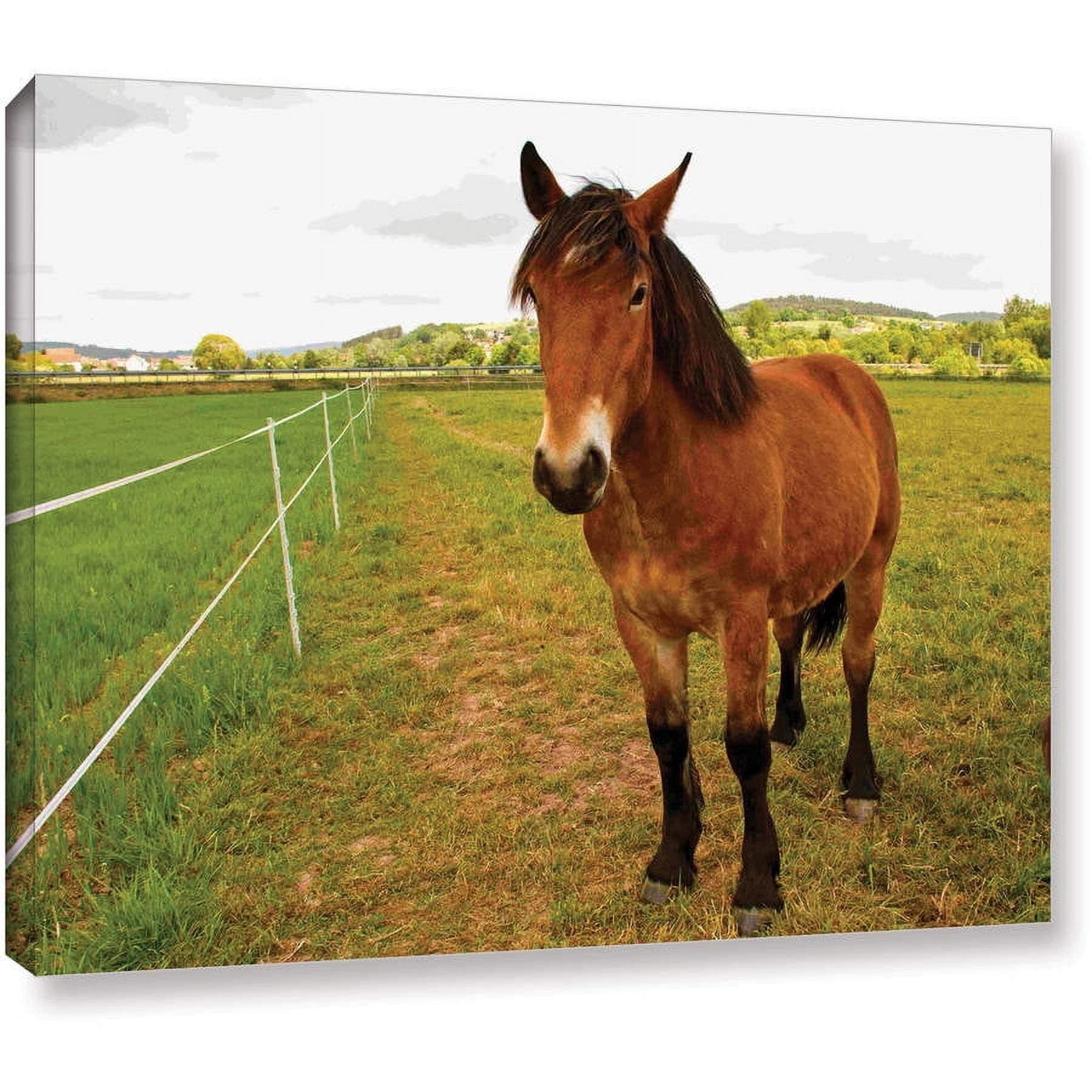 Lindsey Janich "Horse Painted II" Gallery-Wrapped Canvas