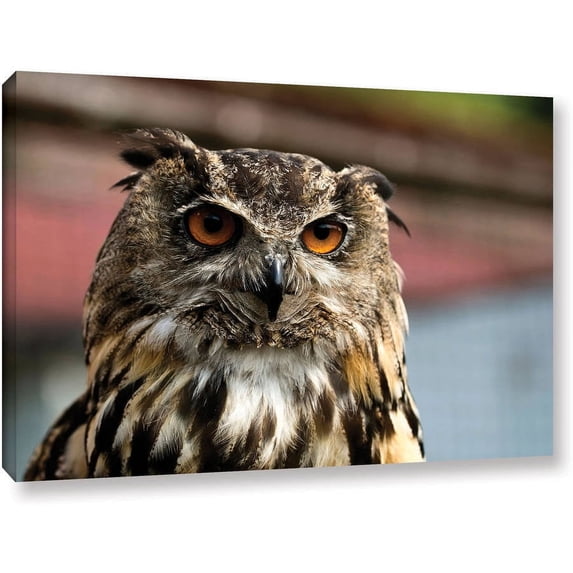 Lindsey Janich "Oscar 3B" Gallery-Wrapped Canvas