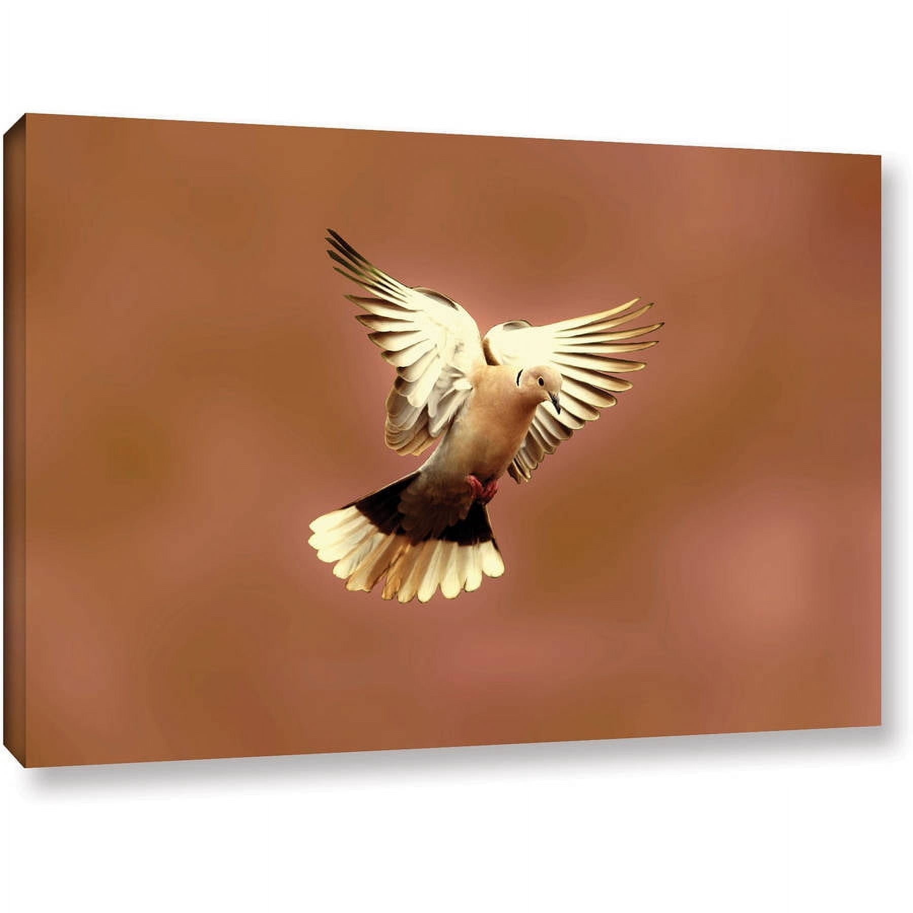 Lindsey Janich "Pink Dove 1" Gallery-Wrapped Canvas