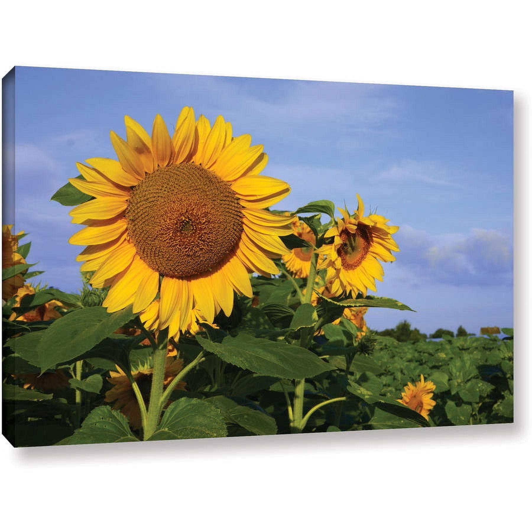 Lindsey Janich "Sunflower" Gallery-Wrapped Canvas