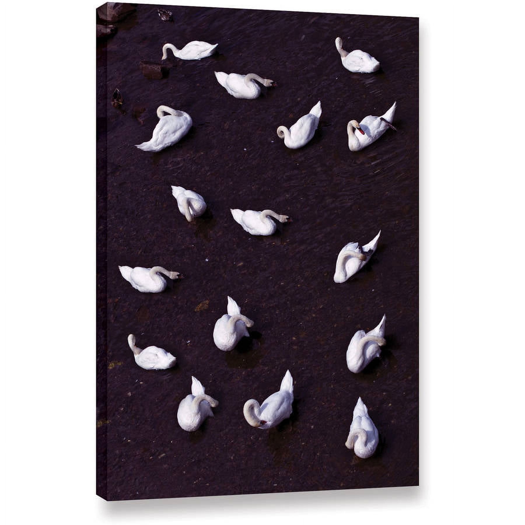 Lindsey Janich "Swans From A Bridge 2" Gallery-Wrapped Canvas