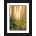 thumbnail image 1 of Lindsten, Christian 11x14 Black Ornate Wood Framed with Double Matting Museum Art Print Titled - Into The Light, 1 of 4