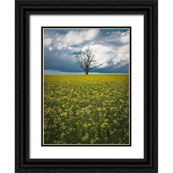 Lindsten, Christian 11x14 Black Ornate Wood Framed with Double Matting Museum Art Print Titled - Oaktree On Canolafield