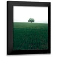 thumbnail image 1 of Lindsten, Christian 12x14 Black Modern Framed Museum Art Print Titled - The Lonely Oak Tree, 1 of 5