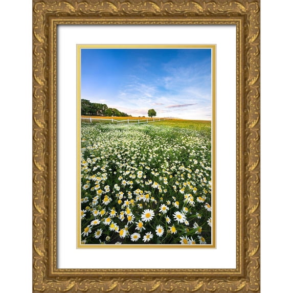 Lindsten, Christian 13x18 Gold Ornate Wood Framed with Double Matting Museum Art Print Titled - Daisyfield In Sweden