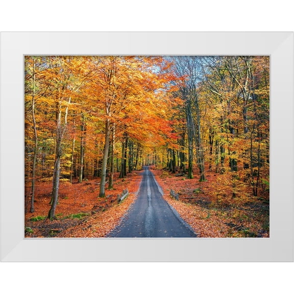 Lindsten, Christian 14x11 White Modern Wood Framed Museum Art Print Titled - Road into autumn