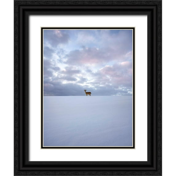 Lindsten, Christian 15x18 Black Ornate Wood Framed with Double Matting Museum Art Print Titled - Alone