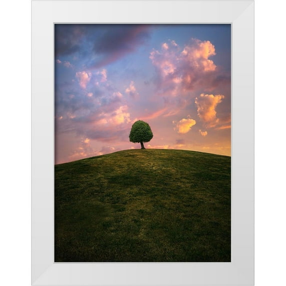 Lindsten, Christian 19x24 White Modern Wood Framed Museum Art Print Titled - Tree On Hill During Sunset
