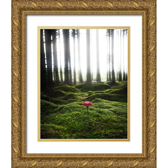 Lindsten, Christian 20x24 Gold Ornate Wood Framed with Double Matting Museum Art Print Titled - Red Mushroom In The Green Forest