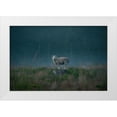 thumbnail image 1 of Lindsten, Christian 24x17 White Modern Wood Framed Museum Art Print Titled - Moody Sheep, 1 of 4