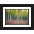 thumbnail image 1 of Lindsten, Christian 32x22 Black Ornate Wood Framed with Double Matting Museum Art Print Titled - Intentional Camera Movement, 1 of 4