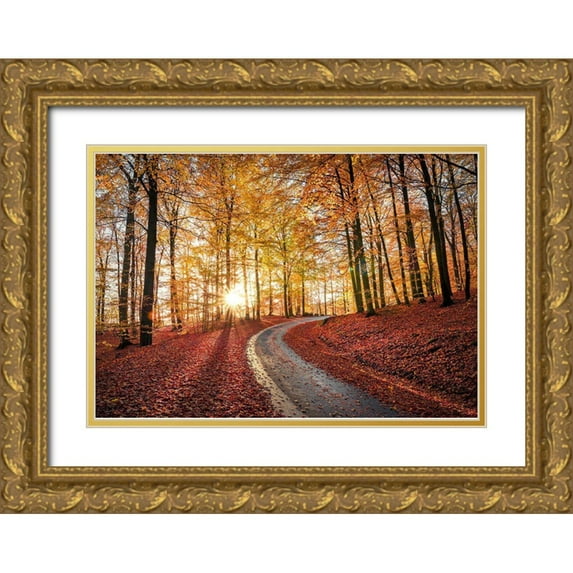 Lindsten, Christian 32x23 Gold Ornate Wood Framed with Double Matting Museum Art Print Titled - Road In Sapderaysen Nationalpark-Sweden