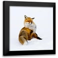thumbnail image 1 of Lindstrom, Pia 20x20 Black Modern Framed Museum Art Print Titled - Winterfox, 1 of 5
