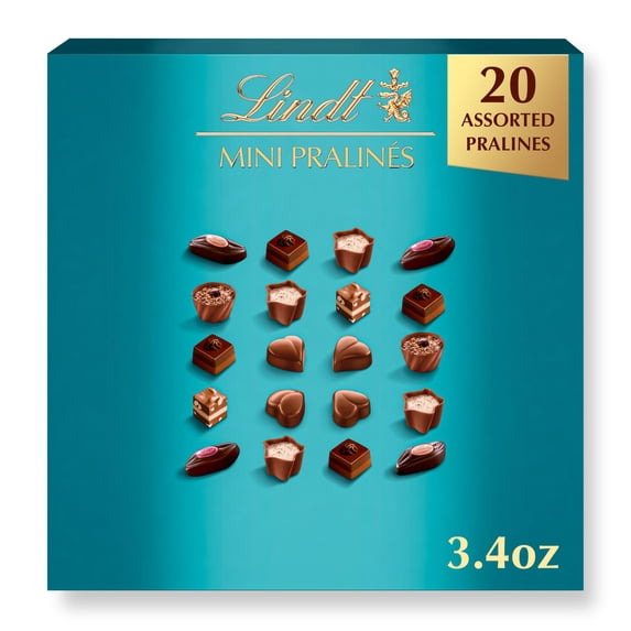 Lindt Mini Pralines Assorted Chocolate Candy Filling Box 3.4 oz