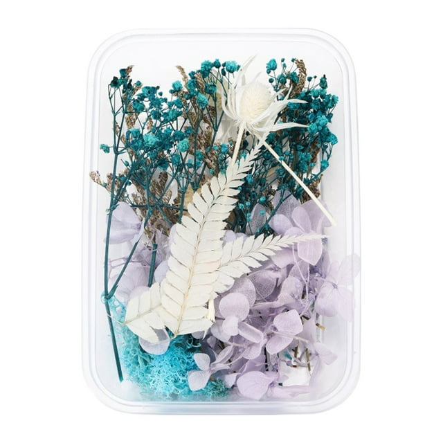 Lindung Outdoor Flowers And 1 Box Real Dried Flower Resin Fillings ...