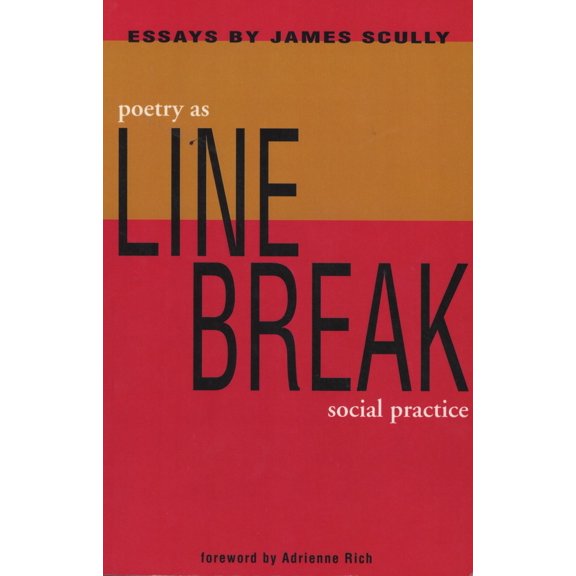 Line Break : Poetry as Social Practice (Paperback)