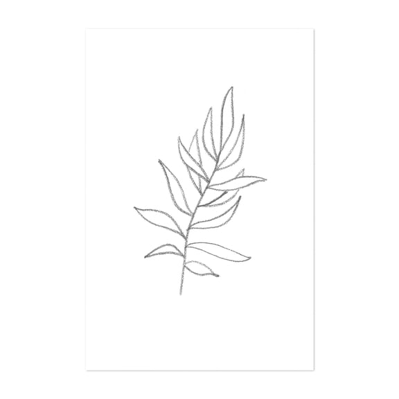 Line art plant - Line Drawing Botanical Minimalist Line Art Black and White Floral Nature Abstract Unframed Wall Art Print 40 x 60 inches