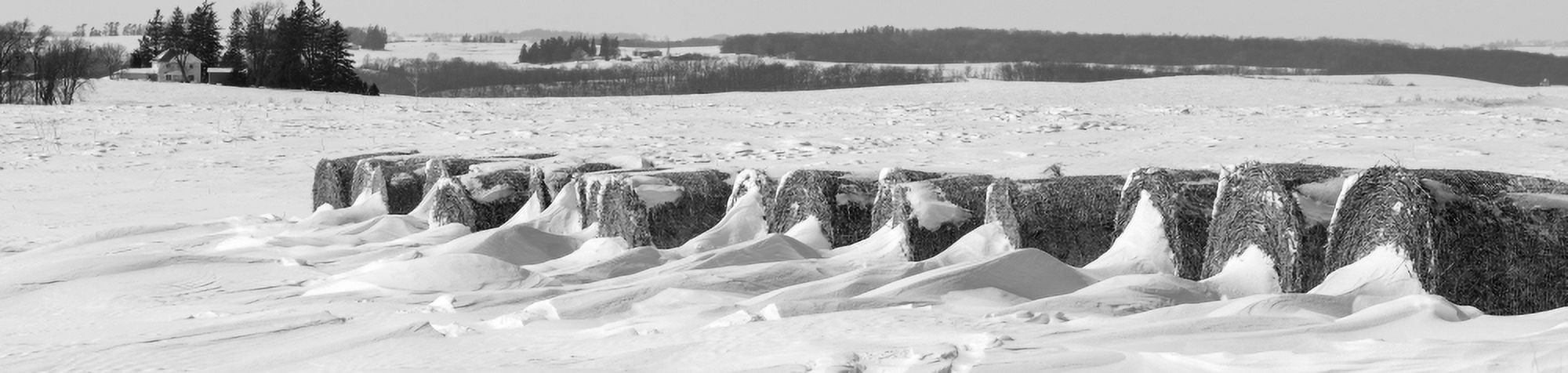 Line of bales drifted with snow in Clayton County Iowa USA Canvas Art - Panoramic Images (27 x 9)