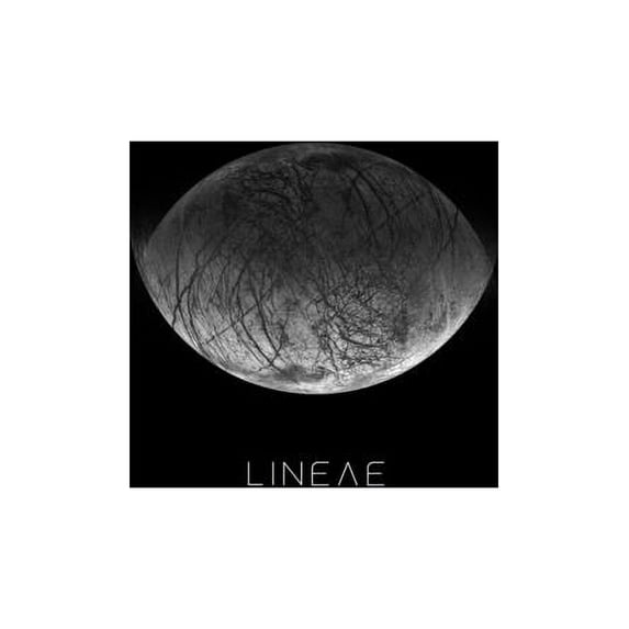 Lineae (Paperback)