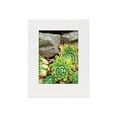 thumbnail image 1 of Lineco Basics 100% Rag Gallery Mat Board, 4 ply - Mat - 11x14 in (27.9x35.6 cm) x 25, 1 of 1