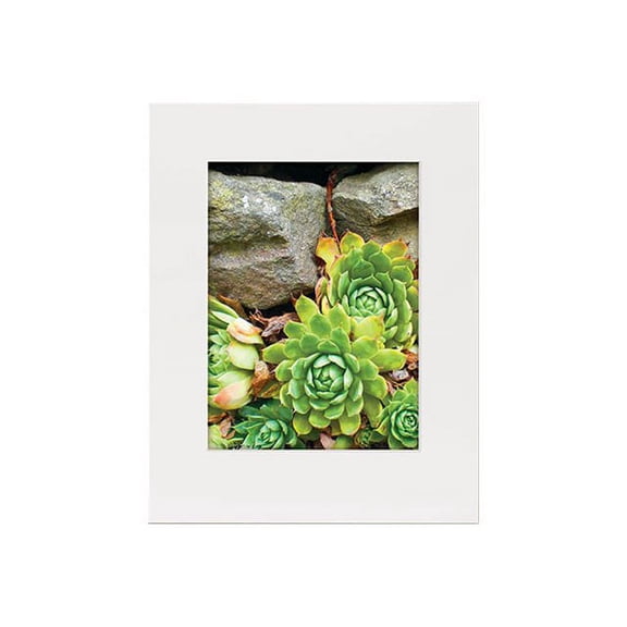 Lineco Basics 100% Rag Gallery Mat Board, 4 ply - Mat - 11x14 in (27.9x35.6 cm) x 25