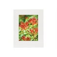 thumbnail image 1 of Lineco Conservation Mat Board - Mat - 16x20 in (40.6x50.8 cm) x 25, 1 of 1