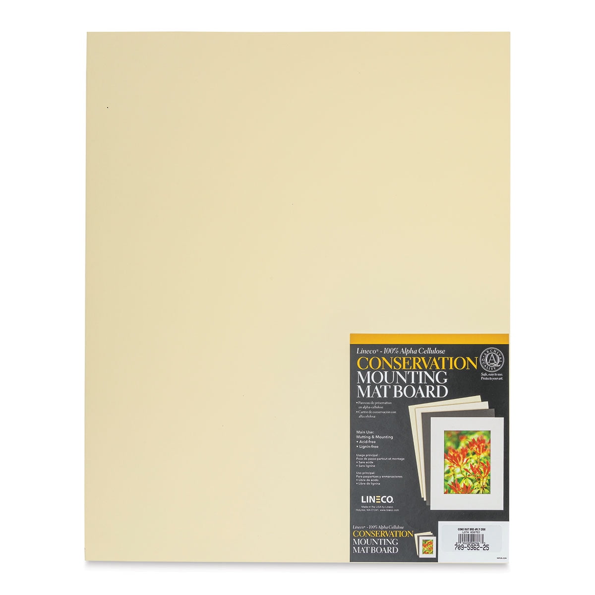 topseller100, Pack of 50 Sheets 8x10 Uncut matboard/mat Boards (Mix)