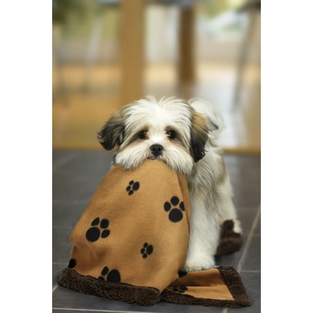 Linen Avenue Pet Blanket Brown