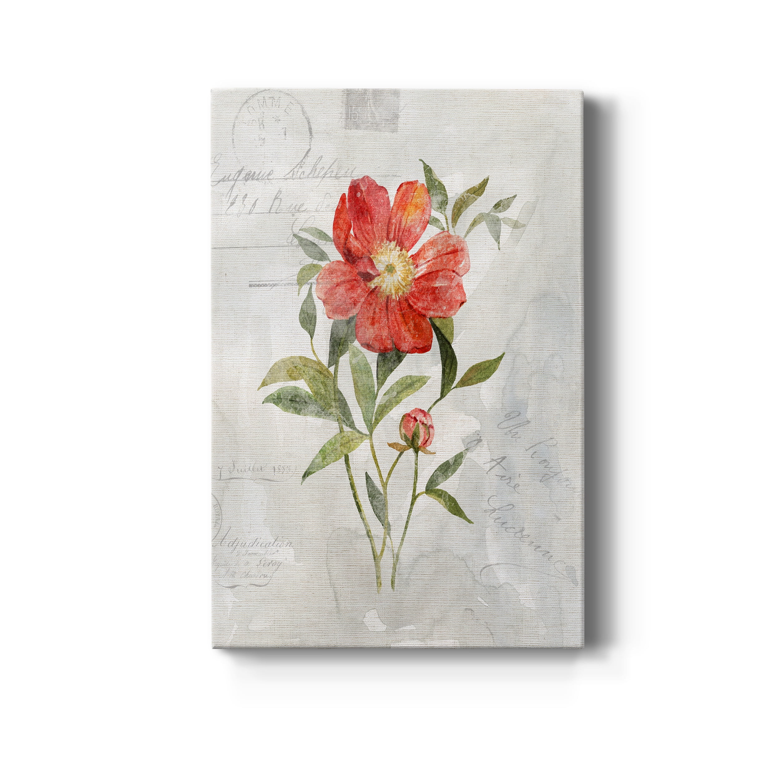 Linen Peony Premium Gallery Wrapped Canvas - Ready to Hang - 40 x 60
