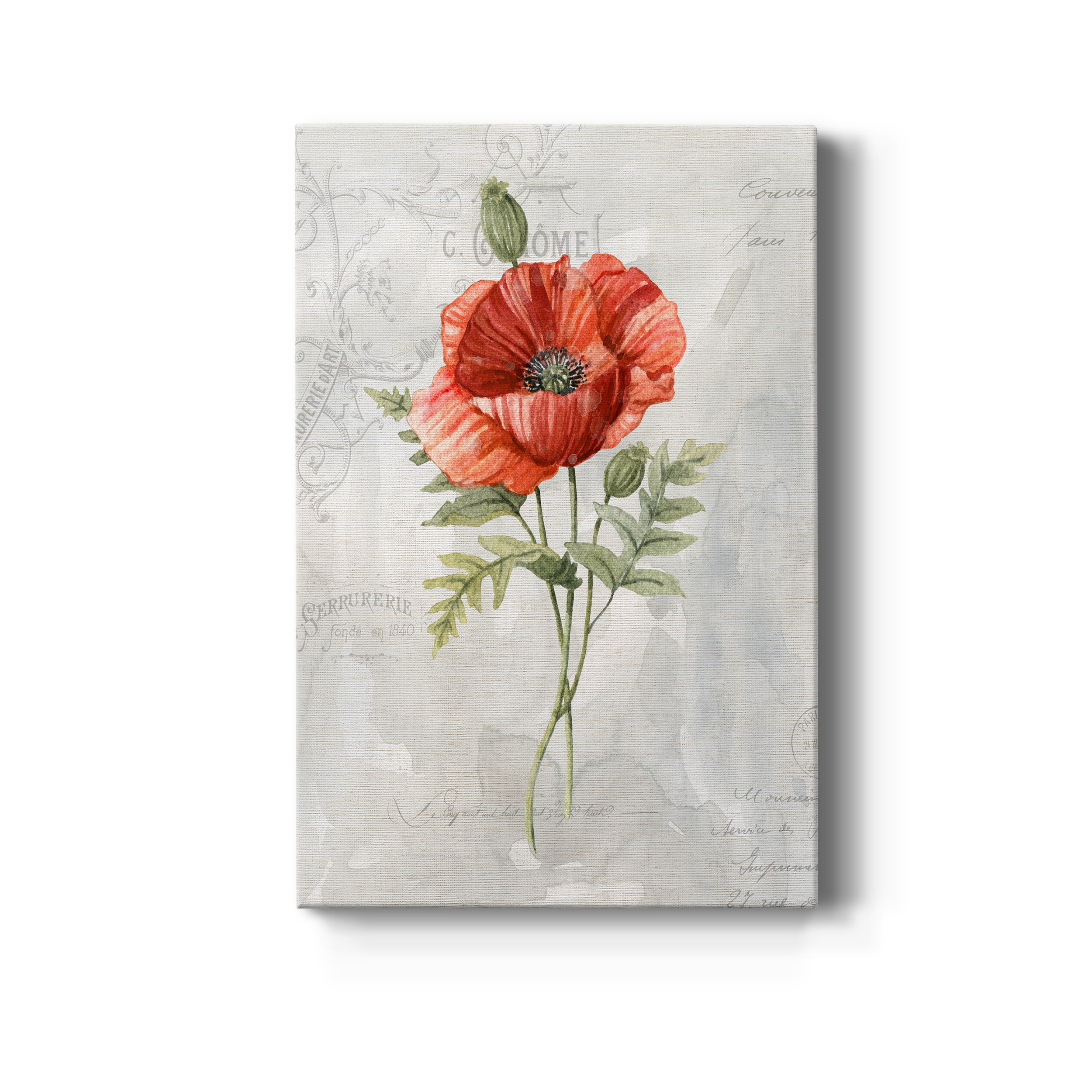 Linen Poppy Premium Gallery Wrapped Canvas - Ready to Hang - 40 x 60