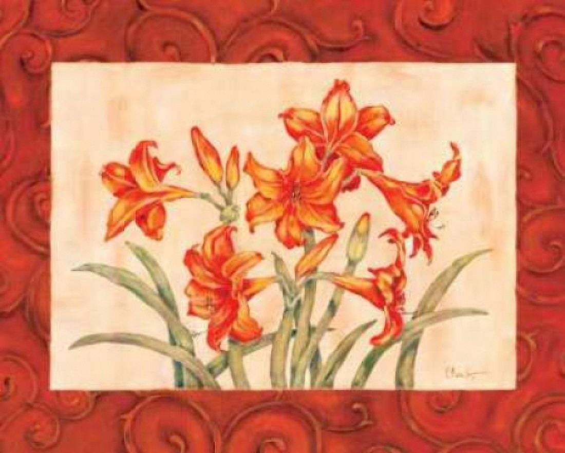 Linen Scroll Amaryllis Canvas Art - Paul Brent (20 x 24)