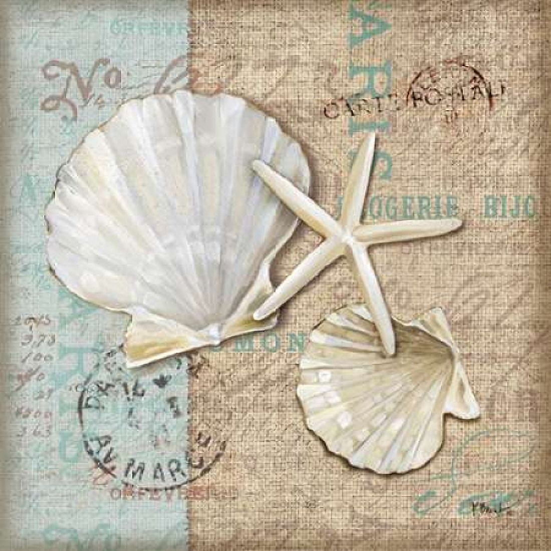Linen Shells I Canvas Art - Paul Brent (24 x 24)