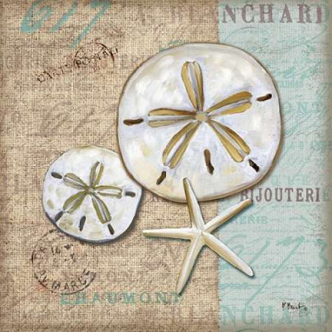 Linen Shells II Canvas Art - Paul Brent (24 x 24)