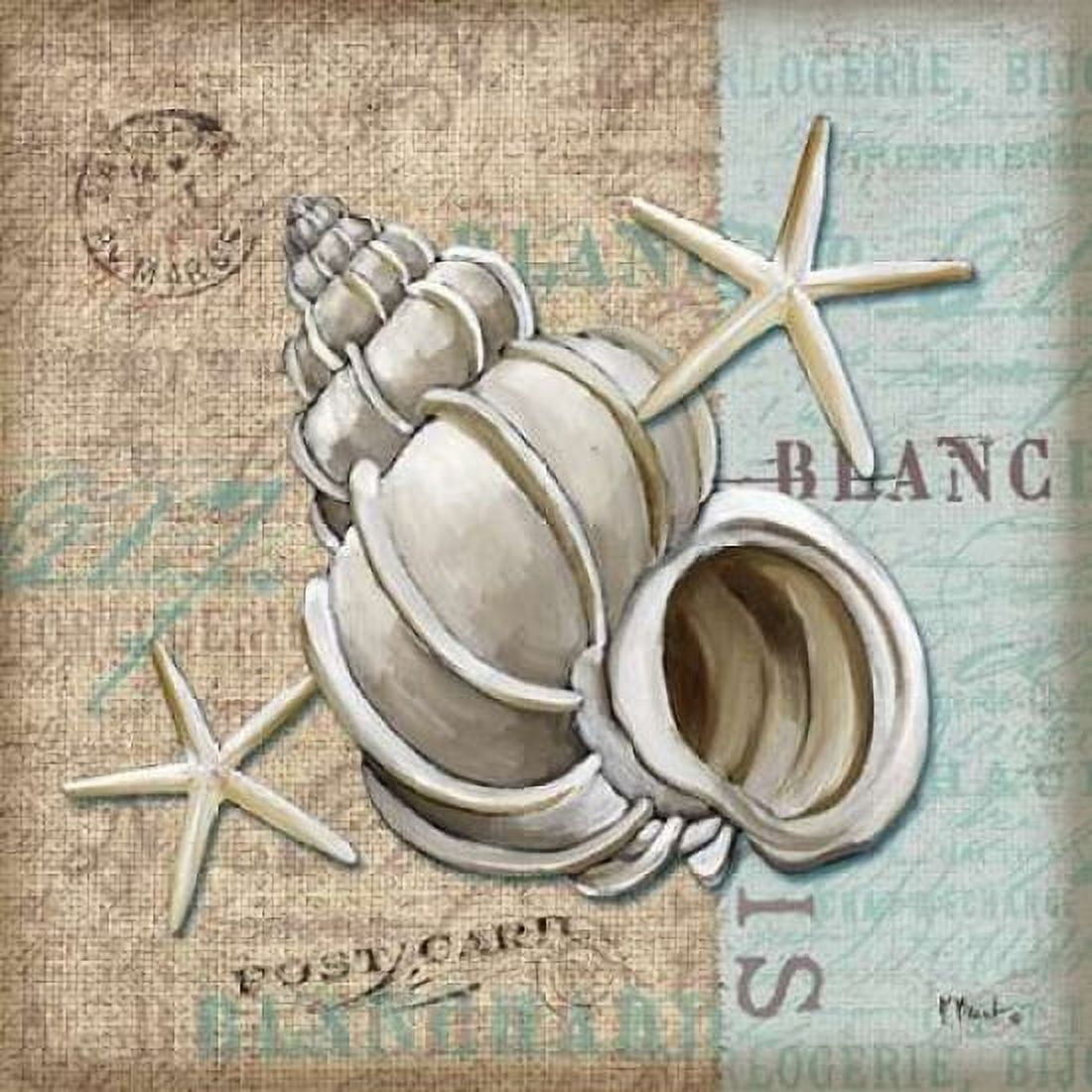 Linen Shells IV Canvas Art - Paul Brent (24 x 24)