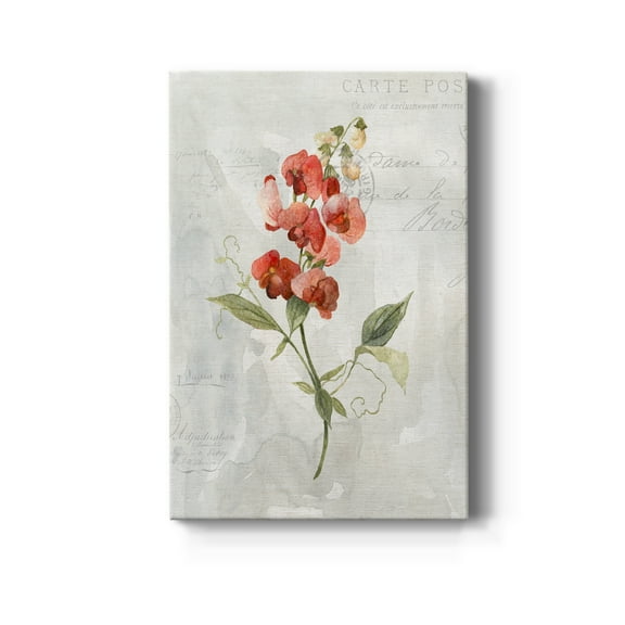 Linen Sweet Pea Premium Gallery Wrapped Canvas - Ready to Hang - 8 x 12